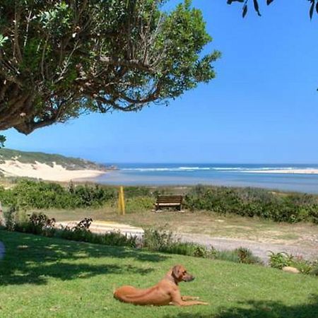 Milkwood Manor B & B Kenton-on-Sea Zewnętrze zdjęcie