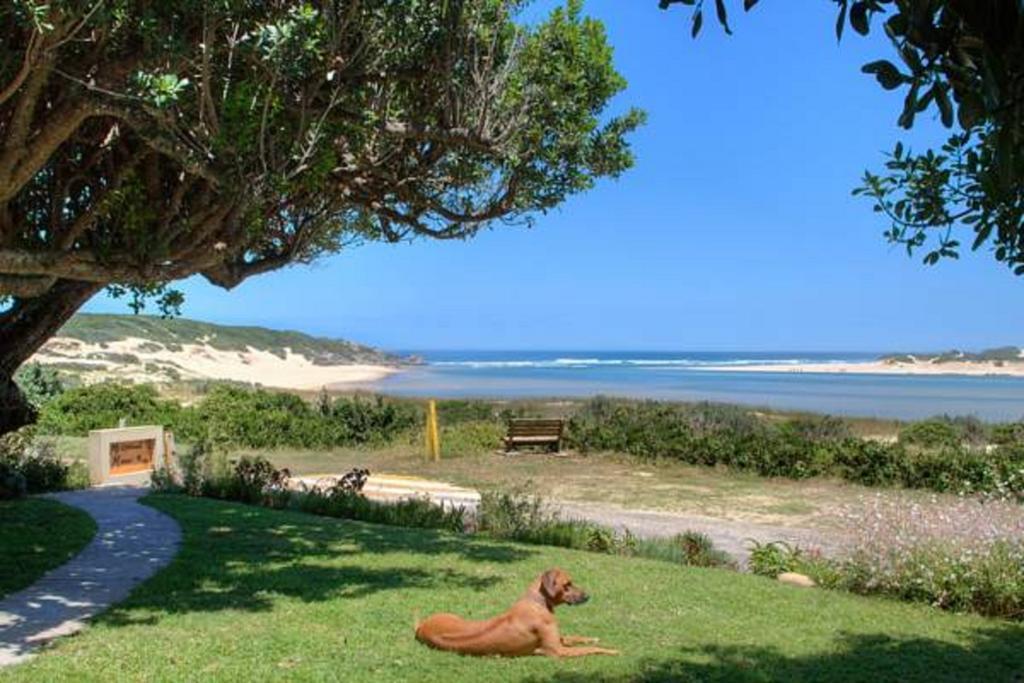 Milkwood Manor B & B Kenton-on-Sea Zewnętrze zdjęcie